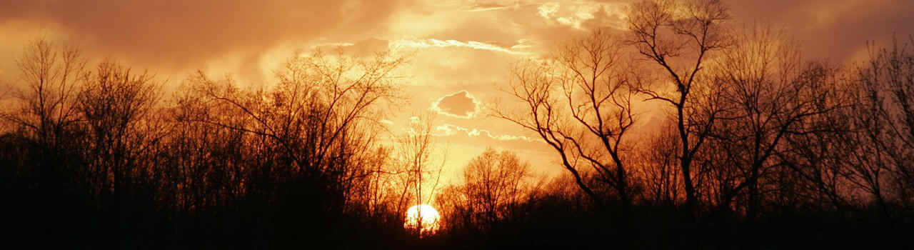 #nivocaption3 Vinaora Nivo Slider