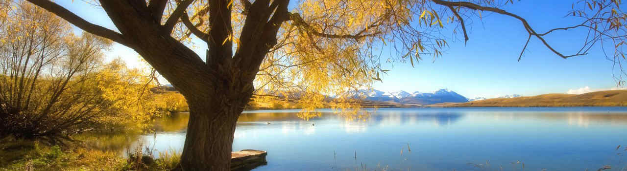 #nivocaption6 Vinaora Nivo Slider