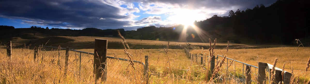 #nivocaption17 Vinaora Nivo Slider