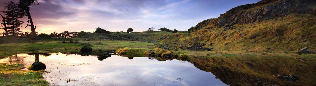 #nivocaption21 Vinaora Nivo Slider