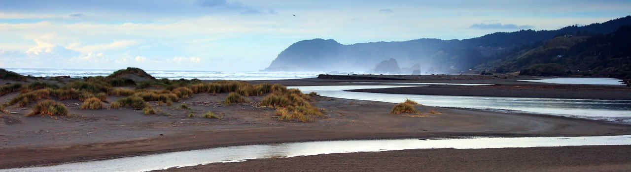 #nivocaption29 Vinaora Nivo Slider