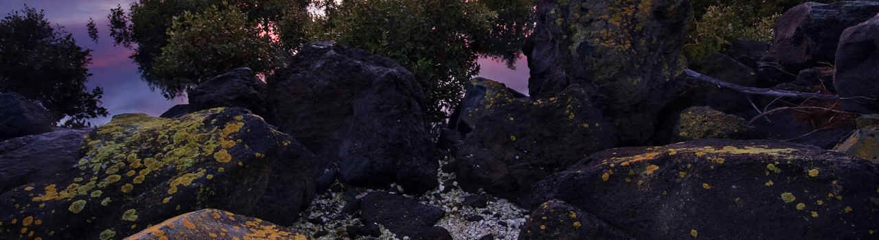 #nivocaption39 Vinaora Nivo Slider